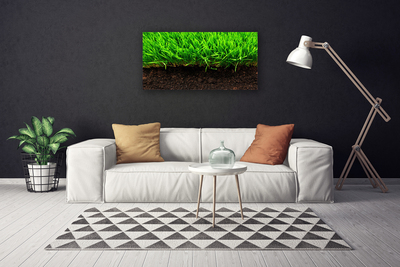 Tableaux sur toile Herbe nature vert