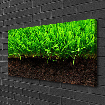 Tableaux sur toile Herbe nature vert