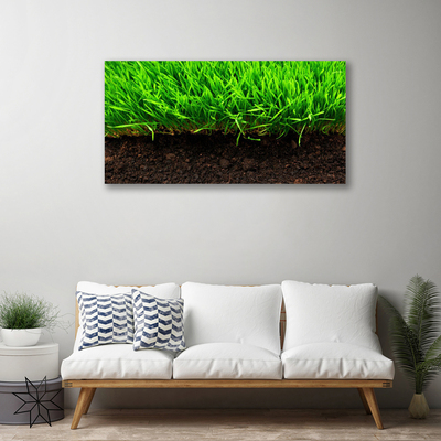 Tableaux sur toile Herbe nature vert