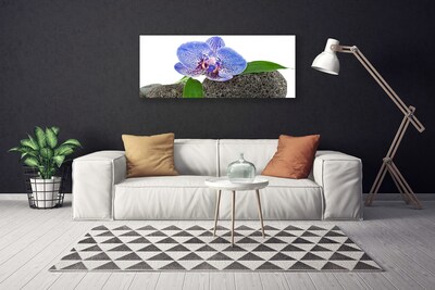 Tableaux sur toile Fleur floral violet vert