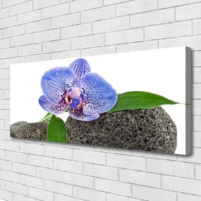 Tableaux sur toile Fleur floral violet vert