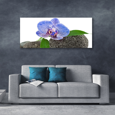 Tableaux sur toile Fleur floral violet vert