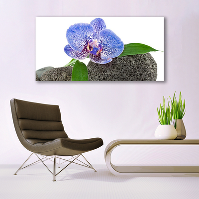 Tableaux sur toile Fleur floral violet vert