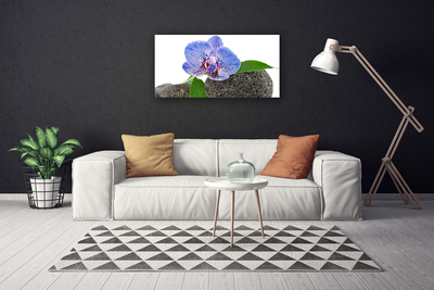 Tableaux sur toile Fleur floral violet vert