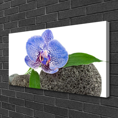 Tableaux sur toile Fleur floral violet vert