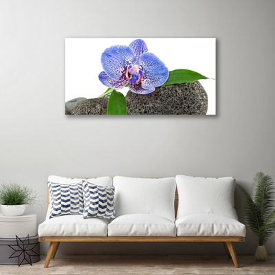 Tableaux sur toile Fleur floral violet vert