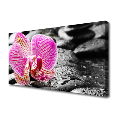 Tableaux sur toile Pierres fleurs floral rose noir