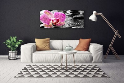 Tableaux sur toile Pierres fleurs floral rose noir