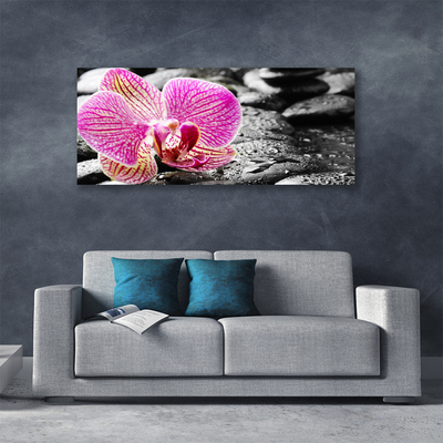 Tableaux sur toile Pierres fleurs floral rose noir