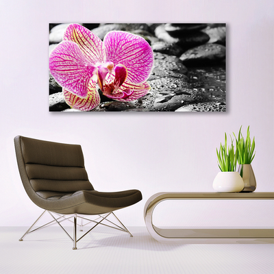 Tableaux sur toile Pierres fleurs floral rose noir