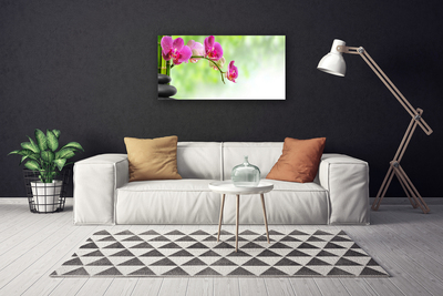 Tableaux sur toile Fleurs pierres floral rouge noir