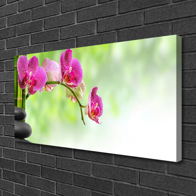 Tableaux sur toile Fleurs pierres floral rouge noir