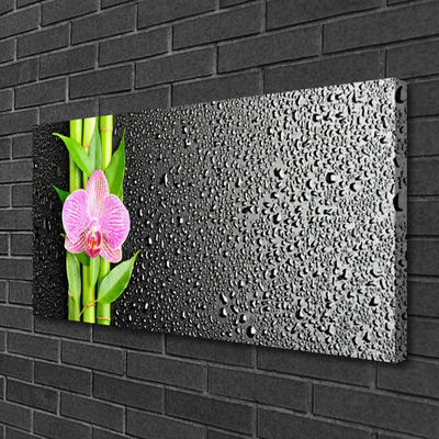 Tableaux sur toile Bambou tige fleur floral rose vert