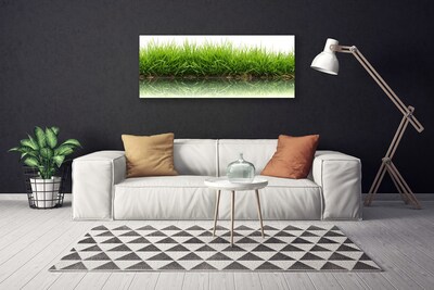 Tableaux sur toile Herbe nature vert