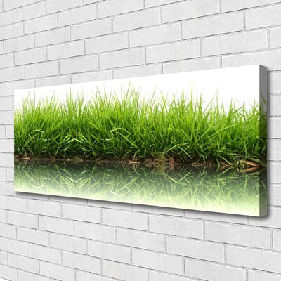 Tableaux sur toile Herbe nature vert