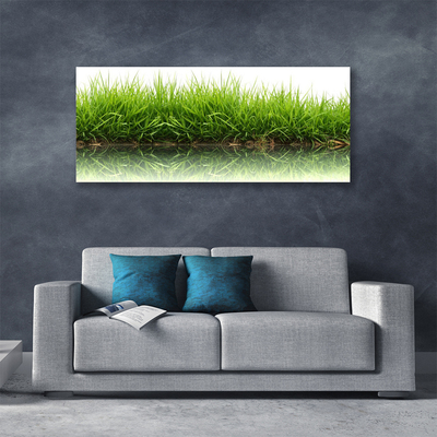 Tableaux sur toile Herbe nature vert