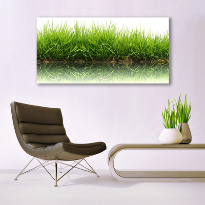 Tableaux sur toile Herbe nature vert