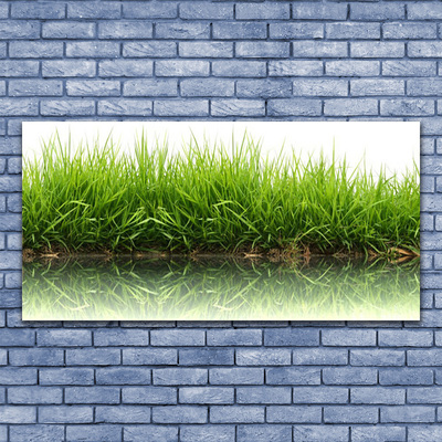 Tableaux sur toile Herbe nature vert