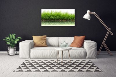 Tableaux sur toile Herbe nature vert