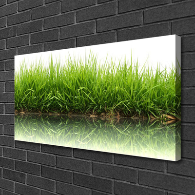 Tableaux sur toile Herbe nature vert