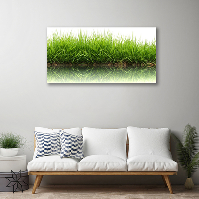 Tableaux sur toile Herbe nature vert