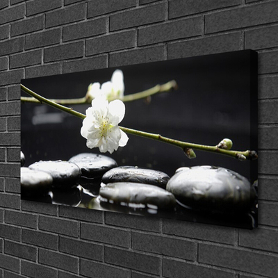 Tableaux sur toile Fleurs pierres art blanc noir