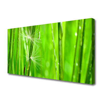 Tableaux sur toile Herbe floral vert