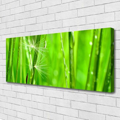 Tableaux sur toile Herbe floral vert