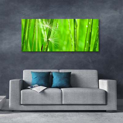 Tableaux sur toile Herbe floral vert