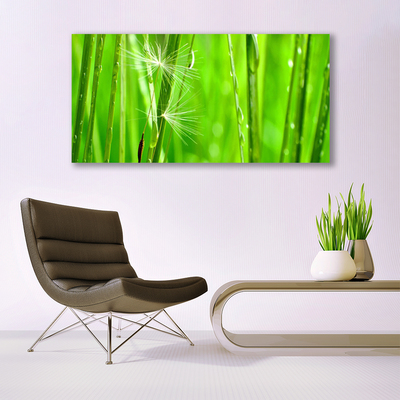 Tableaux sur toile Herbe floral vert