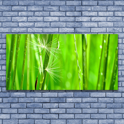 Tableaux sur toile Herbe floral vert