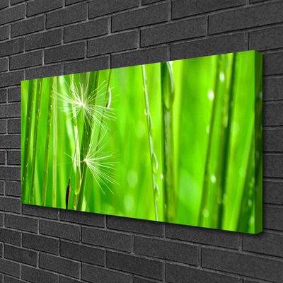 Tableaux sur toile Herbe floral vert