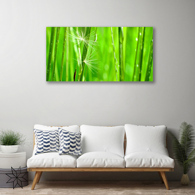 Tableaux sur toile Herbe floral vert