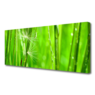 Tableaux sur toile Herbe floral vert