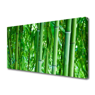 Tableaux sur toile Bambou tige floral vert