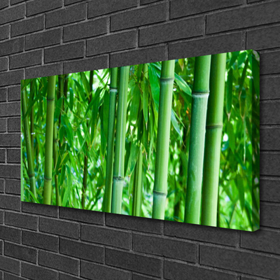 Tableaux sur toile Bambou tige floral vert