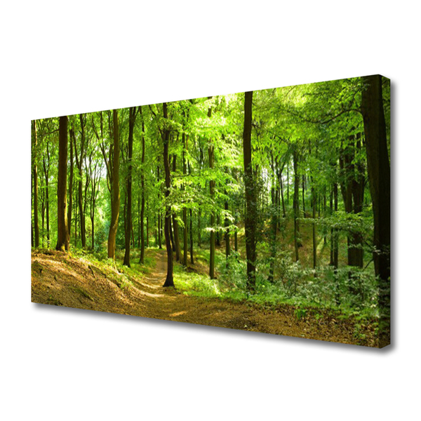 Tableaux sur toile Forêt nature brun vert