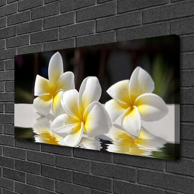 Tableaux sur toile Fleurs floral blanc jaune