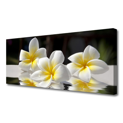 Tableaux sur toile Fleurs floral blanc jaune