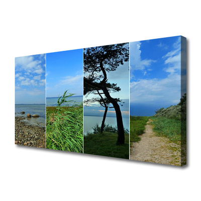 Tableaux sur toile Plage arbre sentier paysage vert brun noir