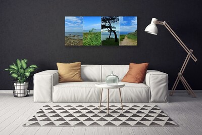 Tableaux sur toile Plage arbre sentier paysage vert brun noir