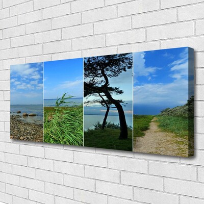 Tableaux sur toile Plage arbre sentier paysage vert brun noir