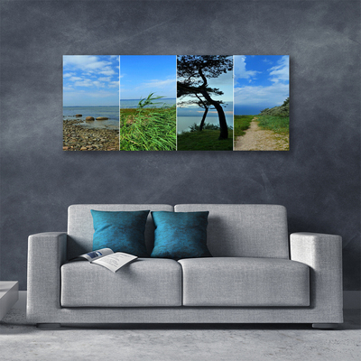 Tableaux sur toile Plage arbre sentier paysage vert brun noir