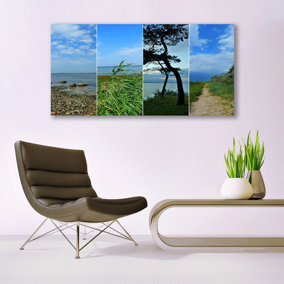 Tableaux sur toile Plage arbre sentier paysage vert brun noir