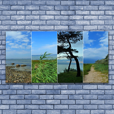 Tableaux sur toile Plage arbre sentier paysage vert brun noir