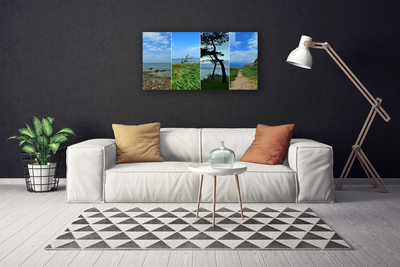 Tableaux sur toile Plage arbre sentier paysage vert brun noir