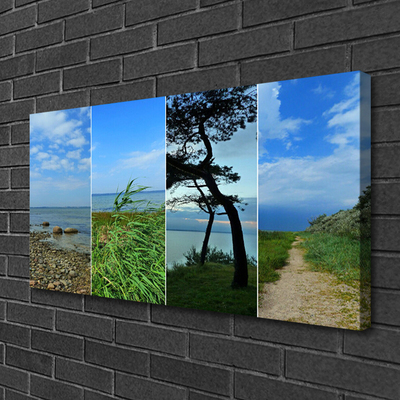 Tableaux sur toile Plage arbre sentier paysage vert brun noir