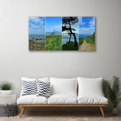 Tableaux sur toile Plage arbre sentier paysage vert brun noir