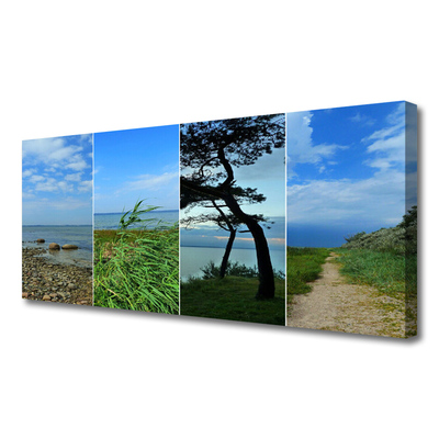 Tableaux sur toile Plage arbre sentier paysage vert brun noir