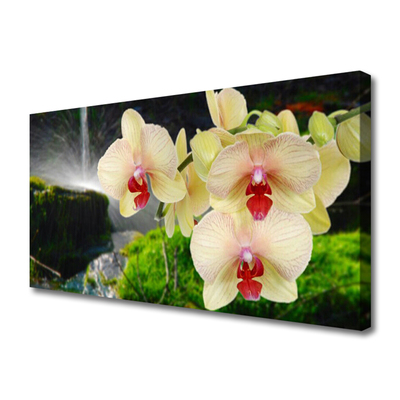 Tableaux sur toile Arbres floral blanc rouge